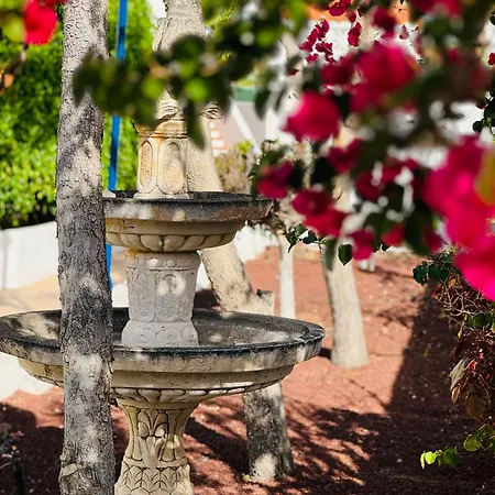 Apartment Sunshine Daydream Costa Adeje - Ac